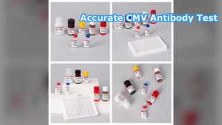 CMV ELISA-testkit detecteert cytomegalovirus-antilichamen