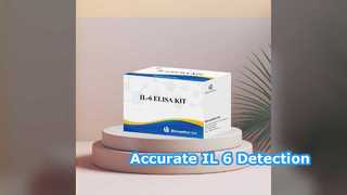 IL-6 ELISA Kit 96 tests Nauwkeurige detectie