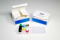 96 Tests 60 Min IgG Elisa Kit covid-19 Steekproef van het Test de Menselijke Serum