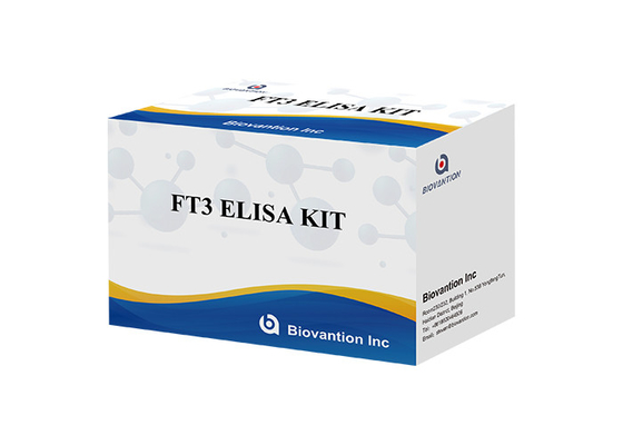 FT3 Elisa Test Kit 110 Minuten het Vrije Vrije Bloedonderzoek van Triiodothyronine T3