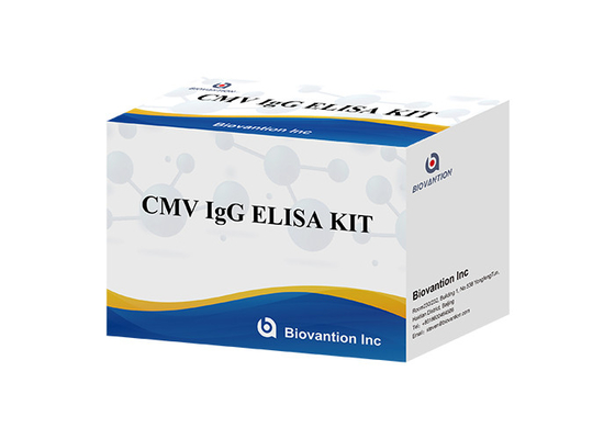 Voor laboratorium- of ziekenhuiskit met hoge nauwkeurigheid IgG-antilichamen tegen cytomegalovirus Elisa-testkit