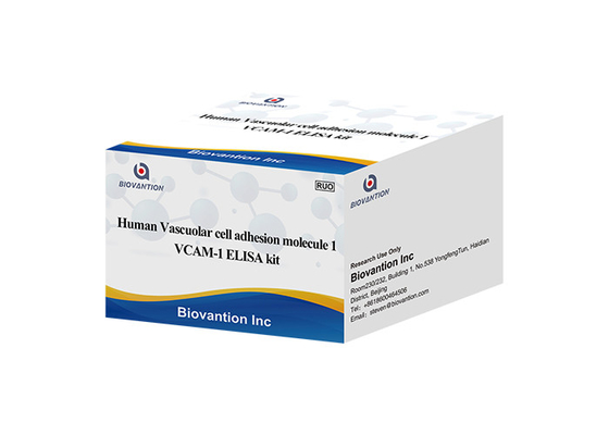 Van de Testkit for human vascular cell van VCAM1 CD106 ELISA RUO de Adhesiemolecule 1