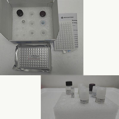 Humane TNF-α RUO Elisa Test Kit