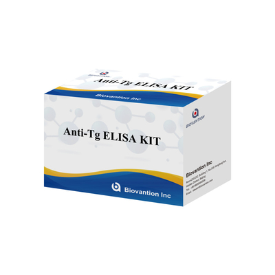 Elisa Diagnostic Kit voor menselijke antithyroglobuline-antilichamen Anti-Tg voor ziekenhuis en laboratorium