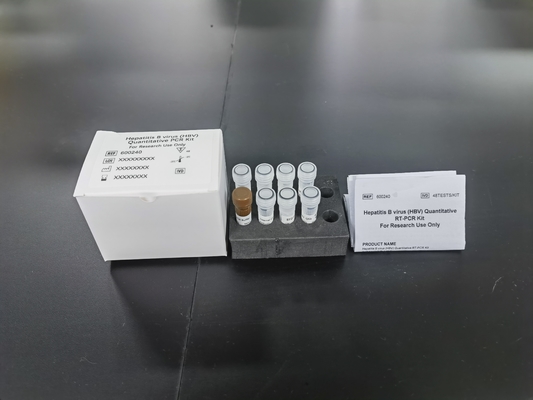 Hepatitis B Virus HBV kwantitatieve PCR KIT Gevoeligheid Proeftype Test Kit Met 96 tests