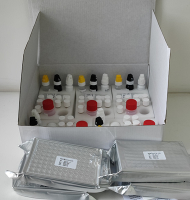 Laboratorium of ziekenhuis H.Pylori IgG Elisa-testkit met hoge nauwkeurigheid