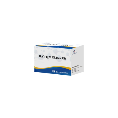 HAV IgM ELISA Kit Hoge gevoeligheid Hepatitis A Virusdetectie Betrouwbare nauwkeurige diagnostische test voor klinische laboratoria