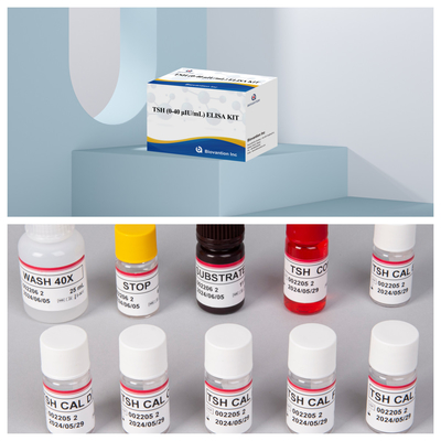 Hooggevoelige schildklier stimulerend hormoon TSH ELISA test kit voor hypofyse schildklierstoornissen in het menselijk serum