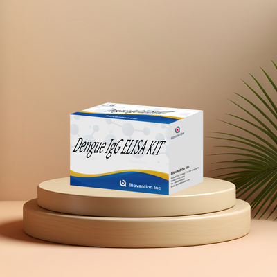 Aanpasbare Dengue IgG ELISA-kit met hoge gevoeligheid voor 96 tests/kit in klinische laboratoria