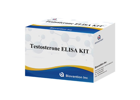 Laboratorium of ziekenhuis High Precision Ferr Testosteron Free Tes ELISA Test Kit
