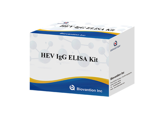 Het Menselijke Igg Elisa Kit Diagnostic For IgG Antilichaam van HEV aan Hepatitise Virus