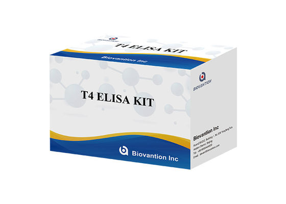 Thyroxine T4 Elisa detectie kit