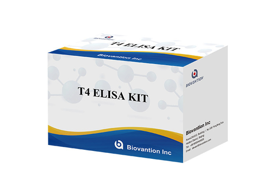 Thyroxine T4 Elisa Detection Kit Hoog nauwkeurige detectie Ziekenhuis- en laboratoriumgebruik