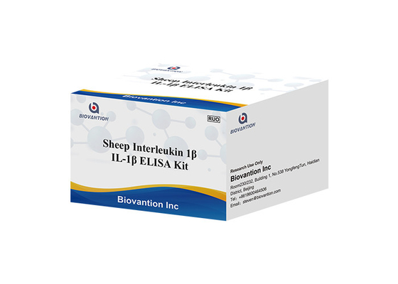 Schapen Interleukin 1 Test Kit Il 1B Elisa Kit van Beta Elisa Kit IL1F2 ELISA RUO