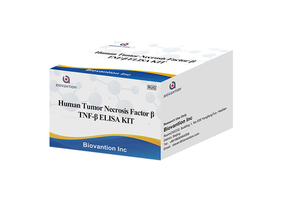 Lymphotoxin Alpha- LICHTER DAN DE LUCHT ELISA KIT Human Tumor Necrosis Factor van TNFB TNFSF1 Bèta
