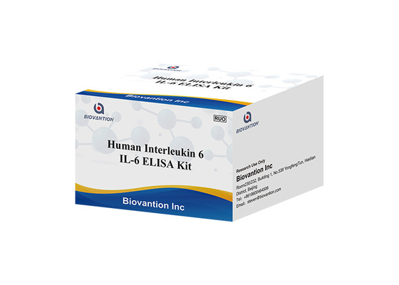 Menselijke Interleukin 6 RUO-de IL-6B-Cel van de Testuitrusting Stimulatory Factor 2 bsf-2 IFNB2