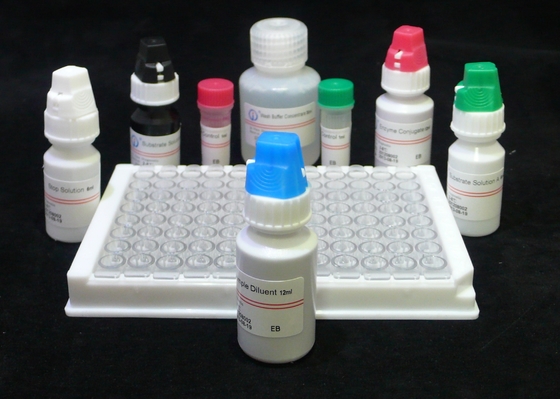 H.Pylori IgG Quant. Elisa kit Origine Elisa Test Kit Format Kit van Biovantion
