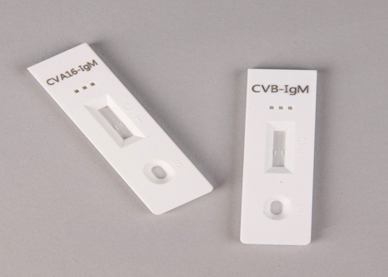 Ziekenhuis, Medisch Centrum, Zelf Hoog nauwkeurige Salmonella Antigen Rapid Test Cassette Pakket Inser Rapid Test Kit