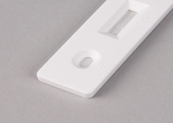 Covid-19 de Uitrusting van de Antigeentest