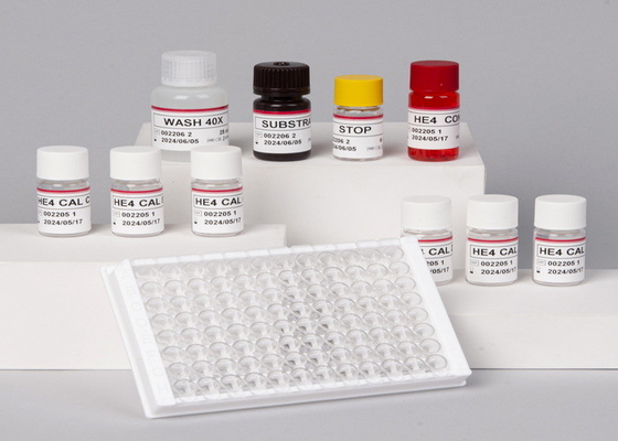 Alphafetoprotein AFP Elisa Test Kit voor laboratorium of ziekenhuis
