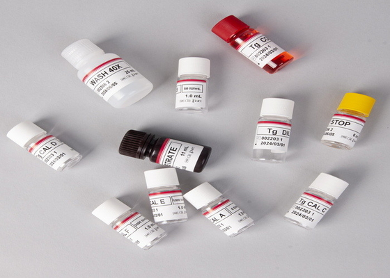 Laboratorium of ziekenhuis Hoge precisie Humane Helicobacter pylori HP ELISA Kit