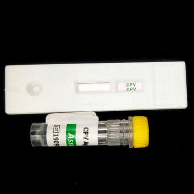 Immunochromatografie