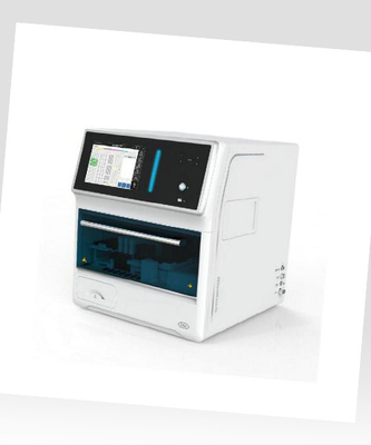 Nieuwe update GBI-MAP 800Plus Kleine laboratorium Hospitaal Gebruik Automatische Chemiluminescentie Immunoassay Analyzer