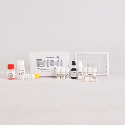 Laboratorium of ziekenhuis Hoge precisie Humane Helicobacter pylori HP ELISA Kit