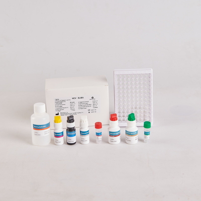 Human PTH Elisa Kit/Human Parathyroid Hormone Elisa Kit voor RUO met 96 tests