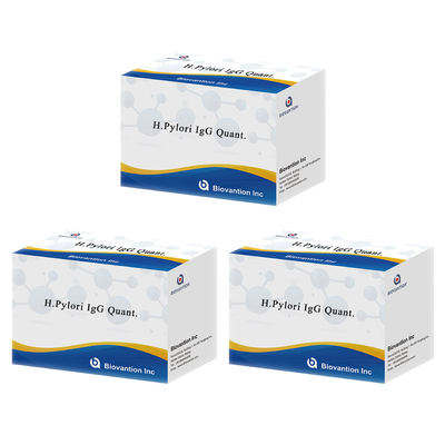H.Pylori IgG Quant. Elisa kit Origine Elisa Test Kit Format Kit van Biovantion