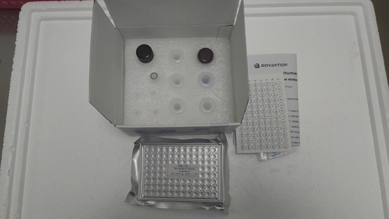 Human insulin-like growth factor-1 ELISA Kit voor onderzoek alleen/IGF-1 Elisa Kit