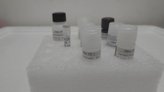 Vitamine B12 Elisa Test Kit Of Enzym-Binded Product RESEARCH GEBRUIK Alleen dierproeven