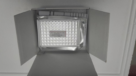 Ratten Interleukin 6 IL-6 96 Tests Verpakkingsgrootte Zeer gevoelige Elisa Kit