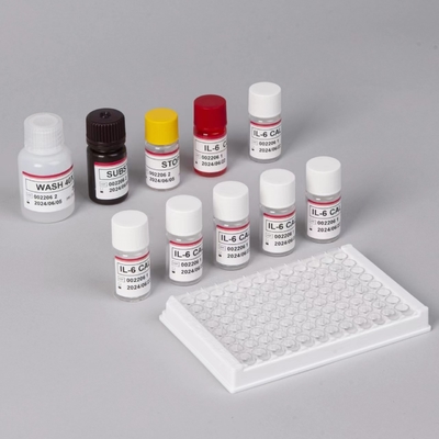 IL-6 Interleukine 6 Elisa Test Kit met 2-3 Uur Testtijd Biovantie Serum/Plasma-formaat 18 Maanden houdbaarheid