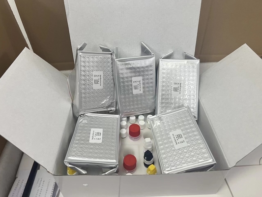 11-dehydro-tromboxaan B2 11dhTxB2 ELISA-testkit IVD Hoge nauwkeurigheid en eenvoudige werking