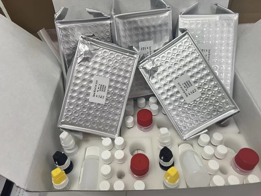 11-dehydro-tromboxaan B2 11dhTxB2 ELISA-testkit IVD Hoge nauwkeurigheid en eenvoudige werking