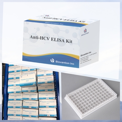 Enzym Immunoassay Reagents Elisa Test Kit voor het detecteren van antilichamen tegen het hepatitis C-virus (HCV)