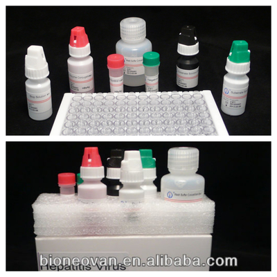 Accurate HBsAg-diagnose in 2-3 uur met enzymgebonden immunosorptieve testkit