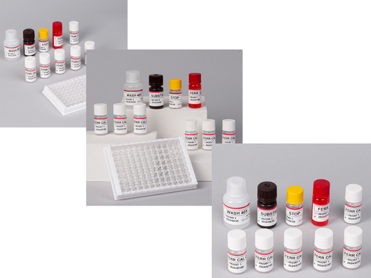 Laboratorium of ziekenhuis Hoge precisie Human ferritine FE ELISA TEST KIT