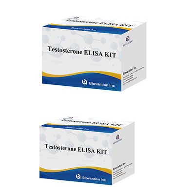Mannelijk geslachtshormoon Testosteronhormoon (Quantitatief) Elisa Test Kit Voor Diagnoses