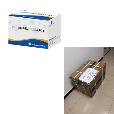 Voor laboratorium- of ziekenhuiskit met hoge nauwkeurigheid voor het testen van estradiol Elisa