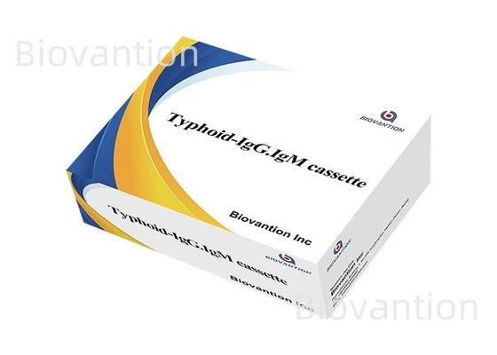 Typhoid--IgM&IgG Voor laboratoria en ziekenhuizen Typhoïde koorts Bloed Rapid Test Kit
