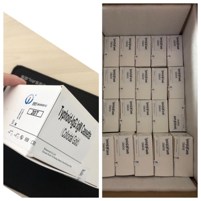 Typhoid--IgM&IgG Voor laboratoria en ziekenhuizen Typhoïde koorts Bloed Rapid Test Kit