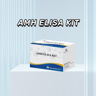 CE-goedkeuring voor menselijk gebruik Anti-Mullerian Hormoon (AMH) Elisa test Kit bloed- of serumtest 96T