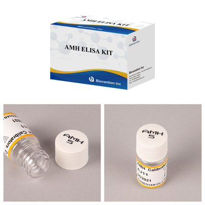 CE-goedkeuring voor menselijk gebruik Anti-Mullerian Hormoon (AMH) Elisa test Kit bloed- of serumtest 96T