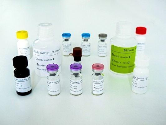 Mycobacterium Tuberculosis Specifieke T-cel gemedieerde immuunrespons detectie Elisa testkit