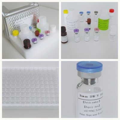 Mycobacterium Tuberculosis Specifieke T-cel gemedieerde immuunrespons detectie Elisa testkit