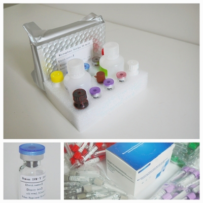Mycobacterium Tuberculosis Specifieke T-cel gemedieerde immuunrespons detectie Elisa testkit