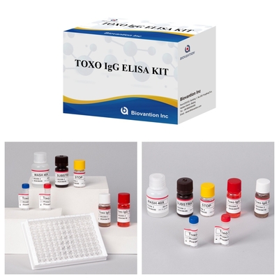 TOXO Ig G Sensitieve en specifieke Elisa-testkit voor ziektebewaking