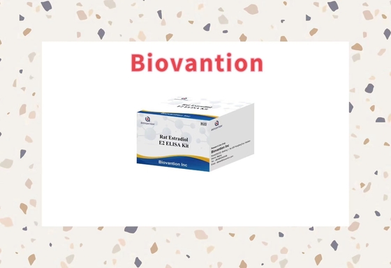 Specificiteit Biovantie Rat Estradiol E2 Elisa Test Kit - 96 tests Opberging bij 2-8.C